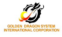 GDSI CORP Logo